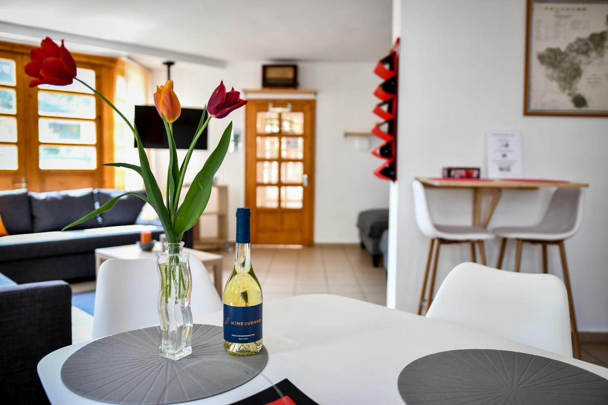Boralom Studio Apartman Tokaj Εξωτερικό φωτογραφία