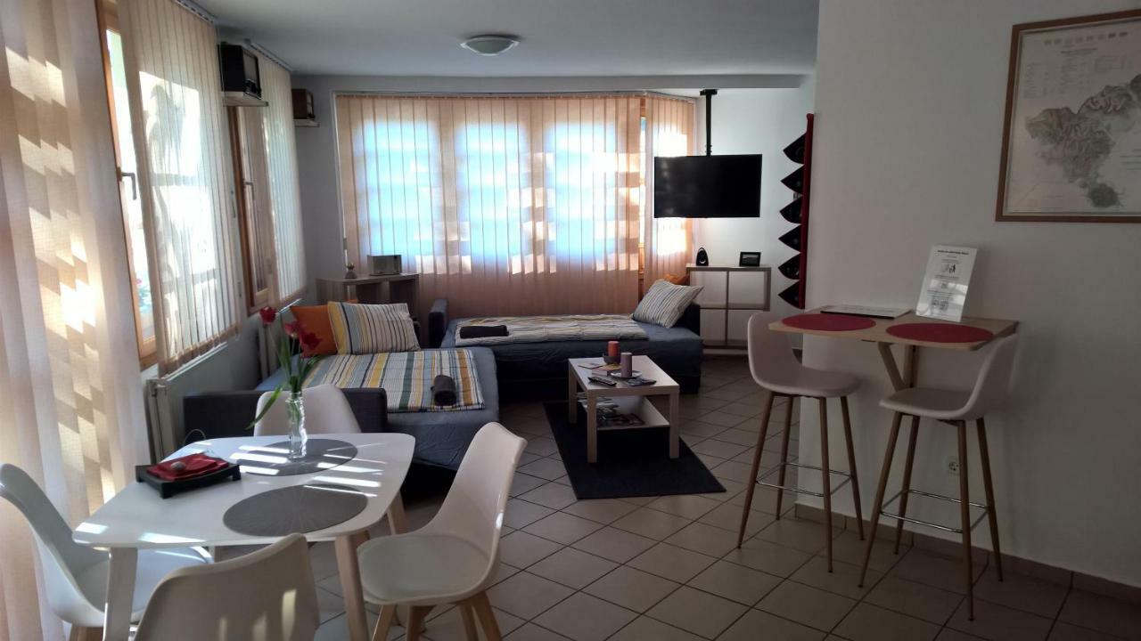 Boralom Studio Apartman Tokaj Εξωτερικό φωτογραφία